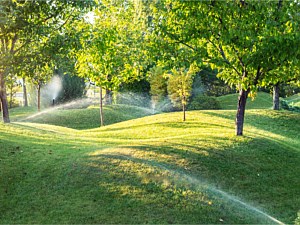 Sprinklers and Irrigation